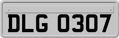 DLG0307