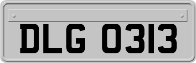 DLG0313
