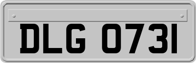 DLG0731