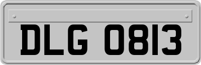 DLG0813