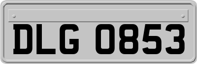 DLG0853