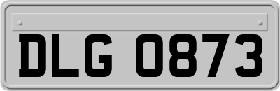 DLG0873