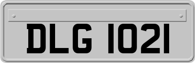DLG1021
