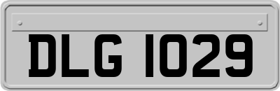 DLG1029