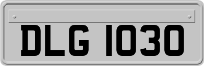 DLG1030