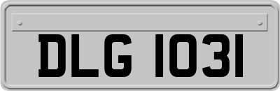 DLG1031