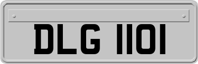 DLG1101