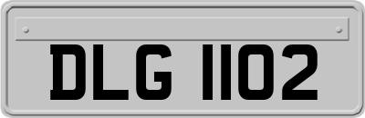 DLG1102