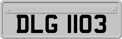 DLG1103