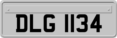 DLG1134