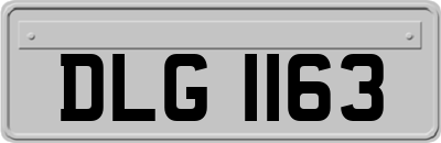 DLG1163