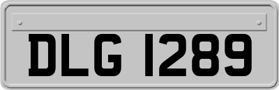 DLG1289