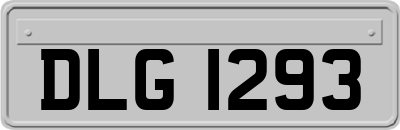 DLG1293