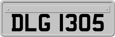 DLG1305