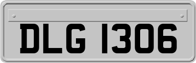 DLG1306