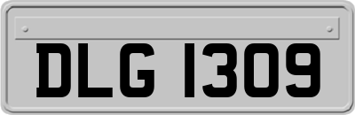 DLG1309