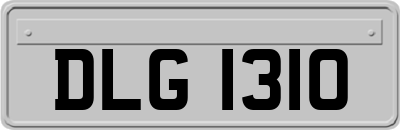 DLG1310
