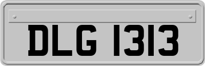 DLG1313