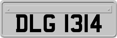 DLG1314