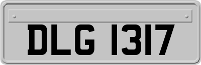 DLG1317
