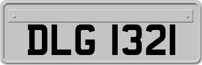 DLG1321