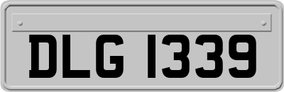 DLG1339