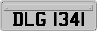 DLG1341