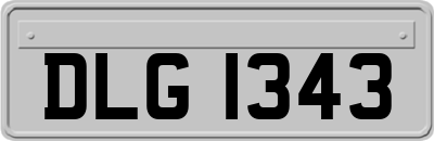 DLG1343