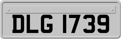 DLG1739