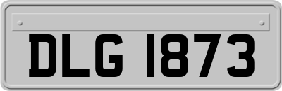 DLG1873