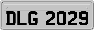 DLG2029