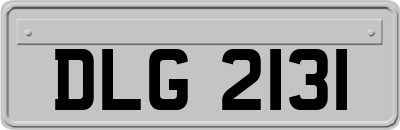 DLG2131