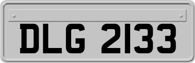 DLG2133
