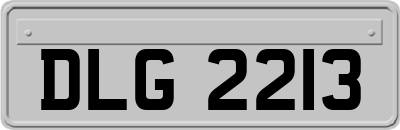DLG2213