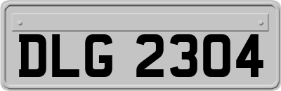 DLG2304