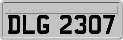 DLG2307