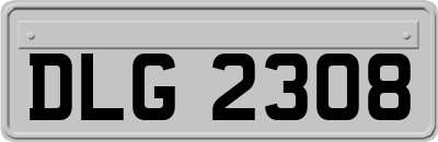DLG2308