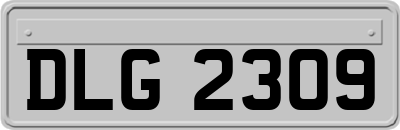DLG2309
