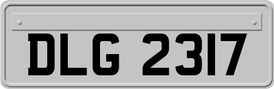 DLG2317