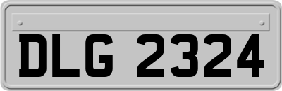 DLG2324