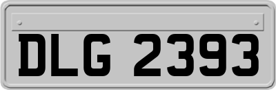 DLG2393