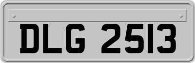 DLG2513
