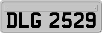 DLG2529