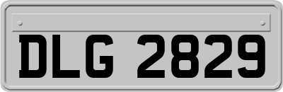 DLG2829