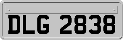 DLG2838