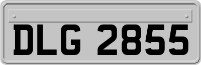 DLG2855