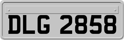 DLG2858