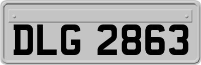 DLG2863
