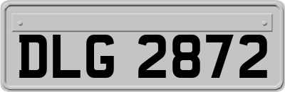 DLG2872