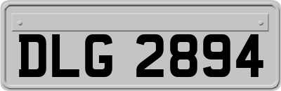 DLG2894